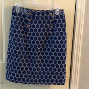 Beautiful Blue Skirt